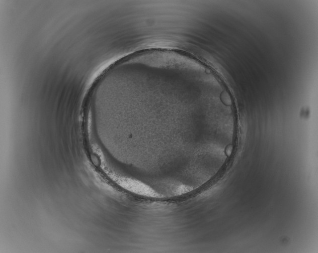 X0000112350779200909241101