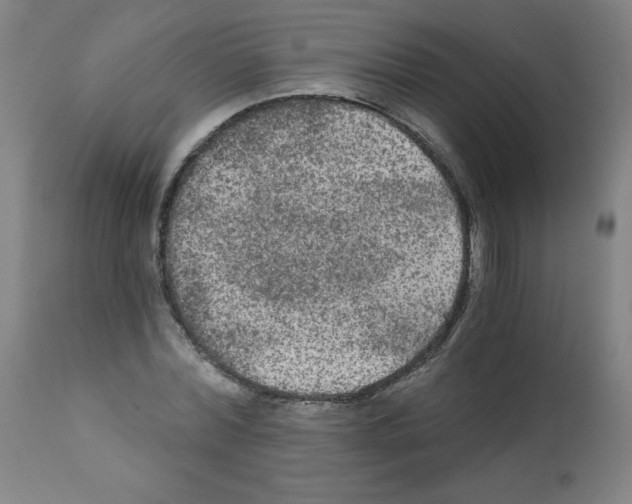 X0000112350780200909241101