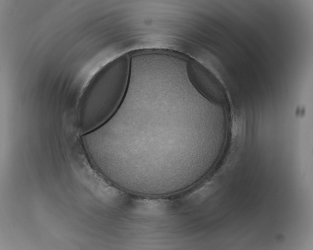 X0000112350781200909241101