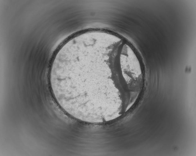 X0000112350783200909241101