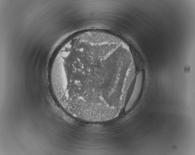 X0000112350784200909241101