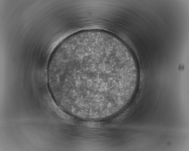 X0000112350789200909241101