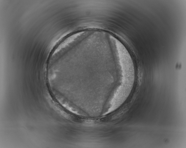 X0000112350790200909241101