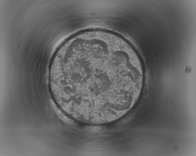 X0000112350791200909241101