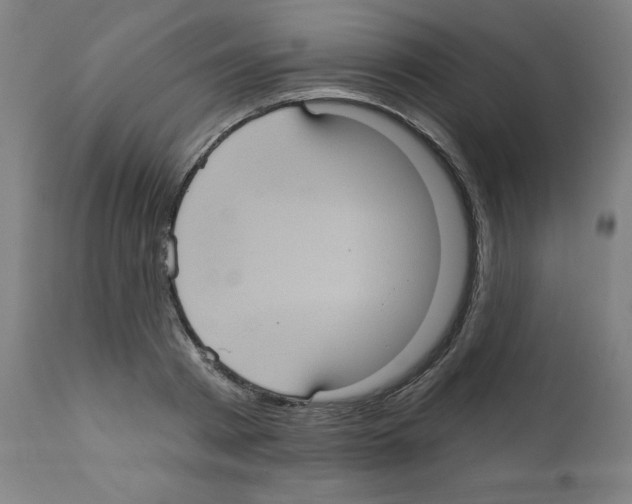 X0000112350793200909241101