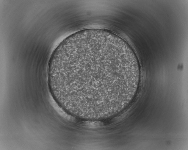 X0000112350795200909241101