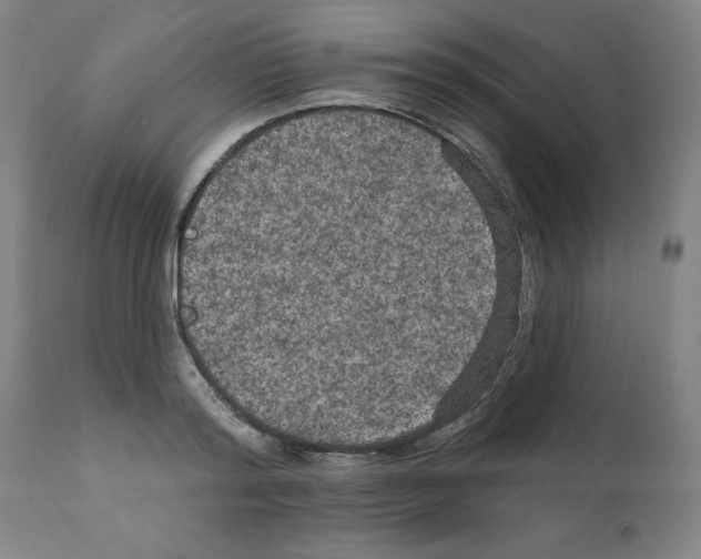 X0000112350796200909241101