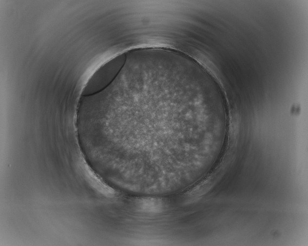 X0000112350797200909241101