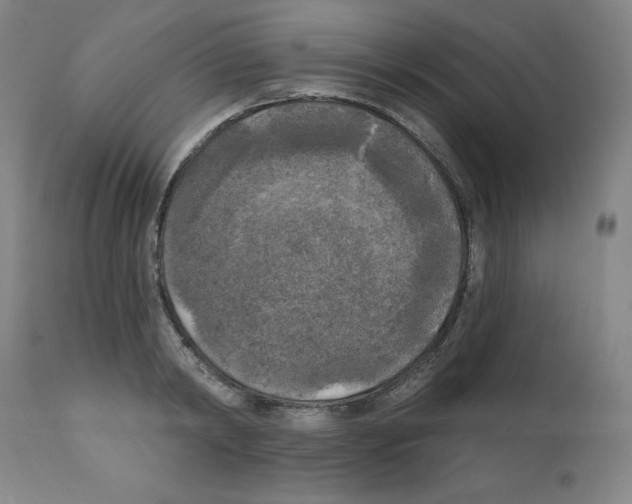 X0000112350798200909241101