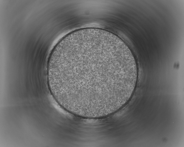 X0000112350800200909241101