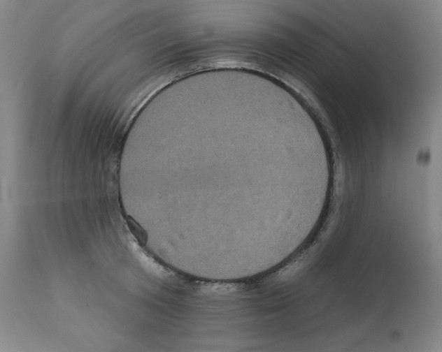 X0000112350801200909241101