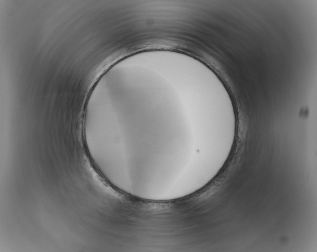 X0000112350802200909241101