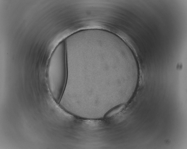 X0000112350805200909241100