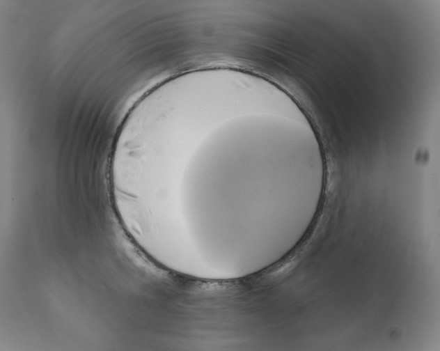 X0000112350806200909241100