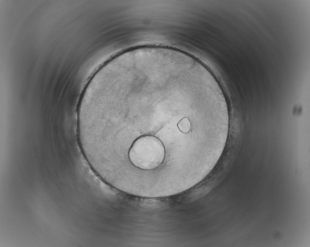 X0000112350807200909241100