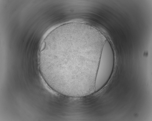 X0000112350808200909241100