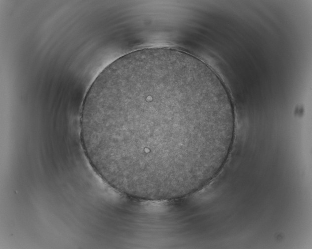 X0000112350810200909241100