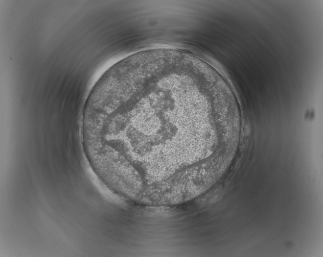 X0000112350811200909241100