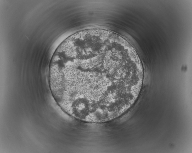 X0000112350812200909241100