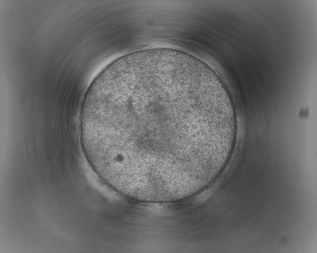 X0000112350814200909241100