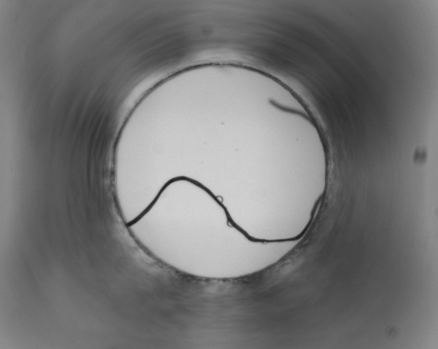 X0000112350815200909241100