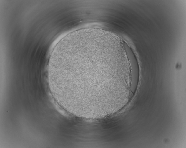 X0000112350816200909241100