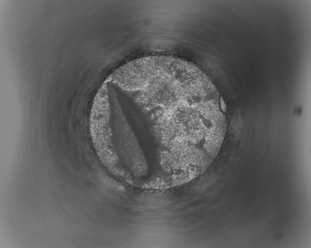 X0000112350817200909241100