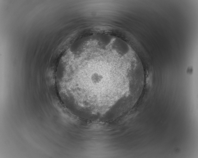 X0000112350819200909241100