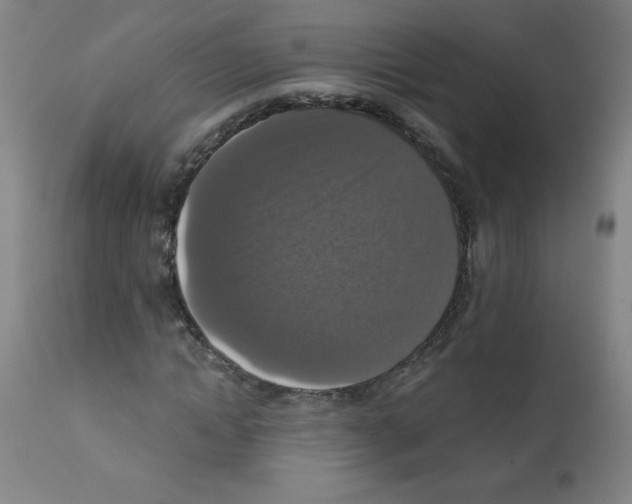 X0000112350822200909241100