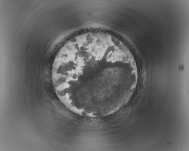 X0000112350823200909241100