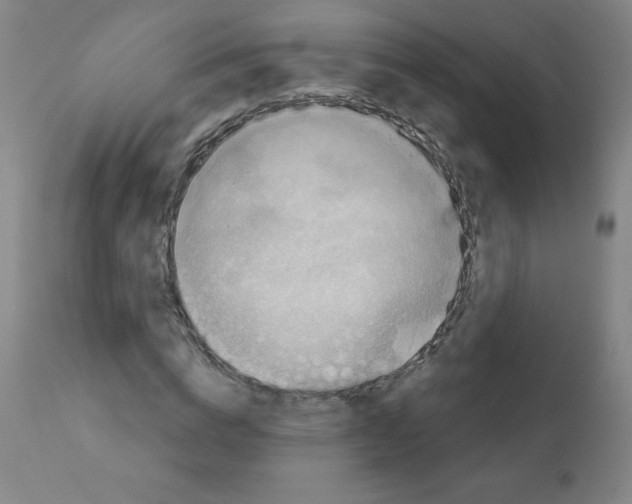 X0000112350824200909241100