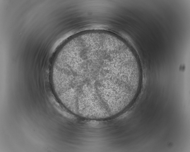 X0000112350827200909241100