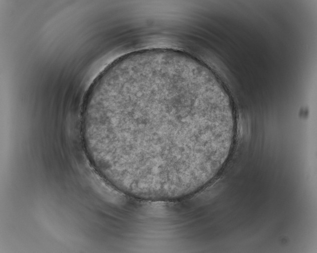 X0000112350828200909241100