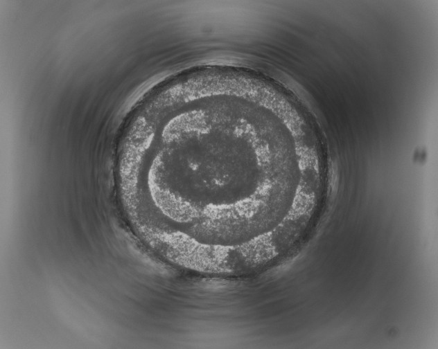 X0000112350829200909241100