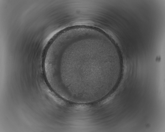 X0000112350830200909241100