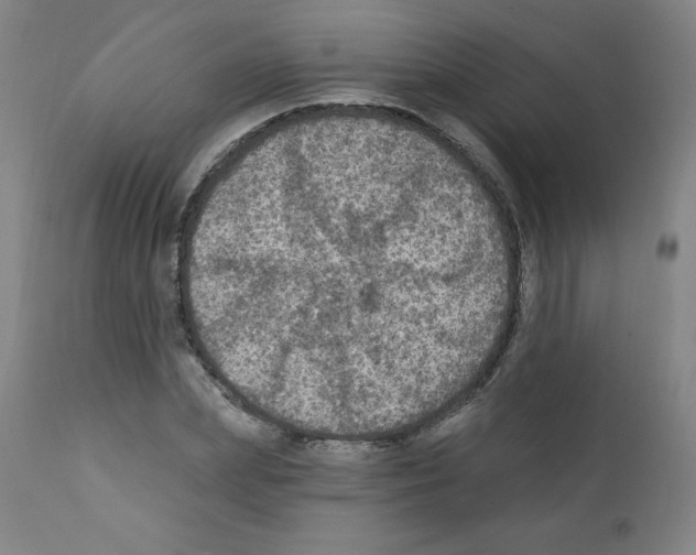 X0000112350831200909241100