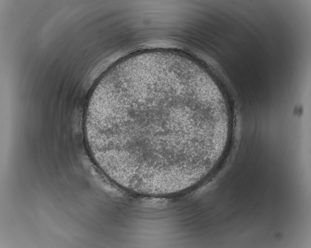 X0000112350833200909241100