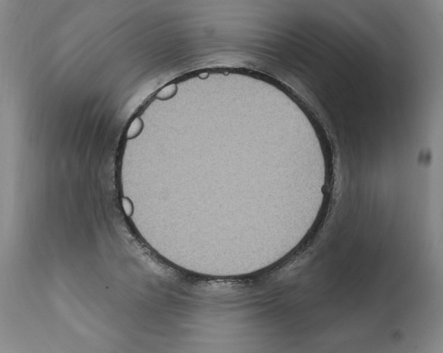 X0000112350834200909241100