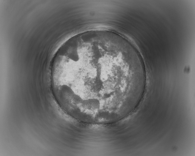 X0000112350835200909241100