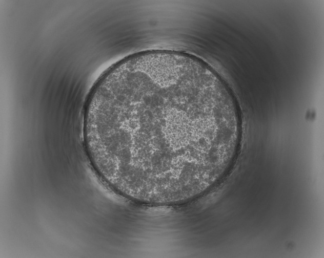 X0000112350838200909241100