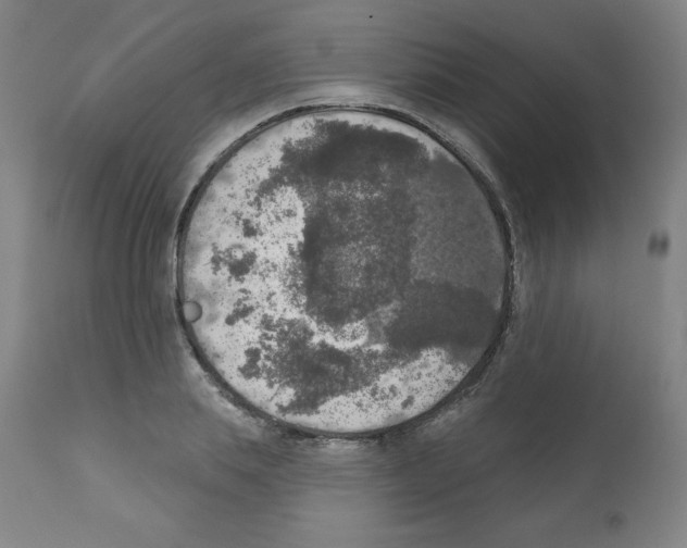 X0000112350839200909241100