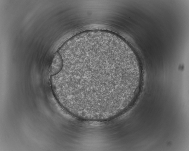 X0000112350841200909241100