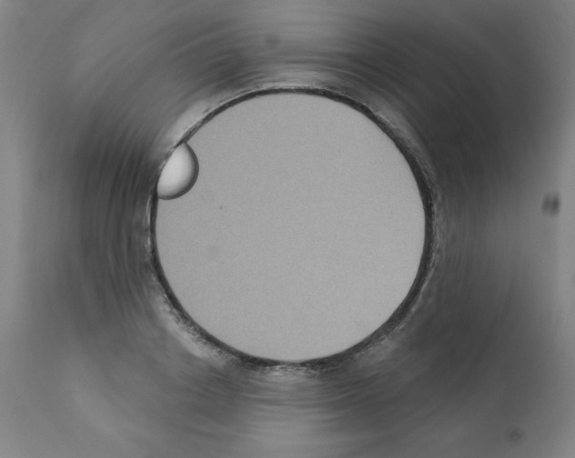 X0000112350842200909241100