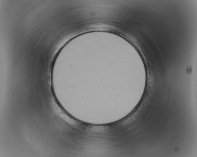 X0000112350843200909241100