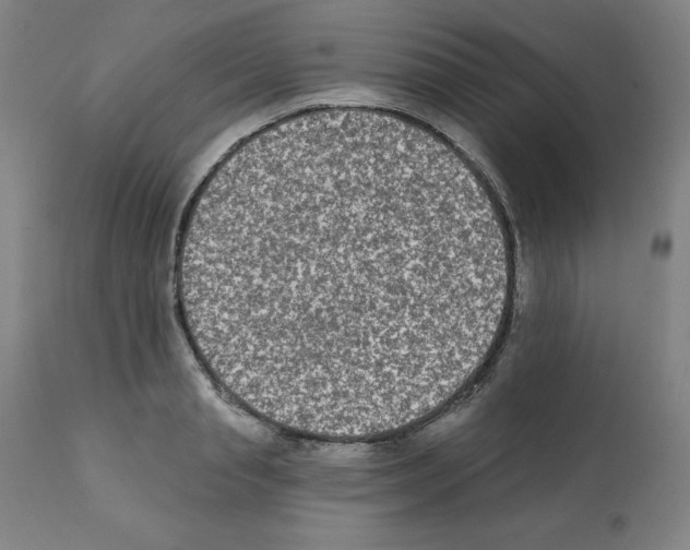 X0000112350845200909241100