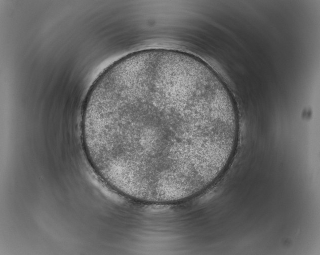 X0000112350846200909241100