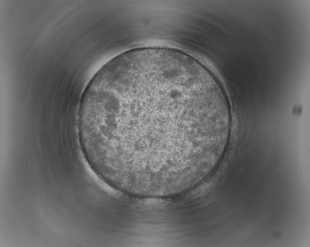 X0000112350847200909241100