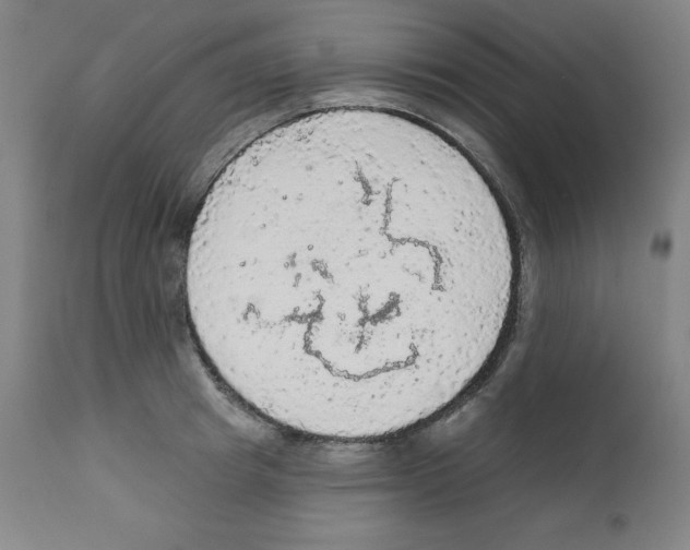 X0000112350849200909241100