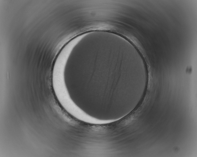 X0000112350850200909241100