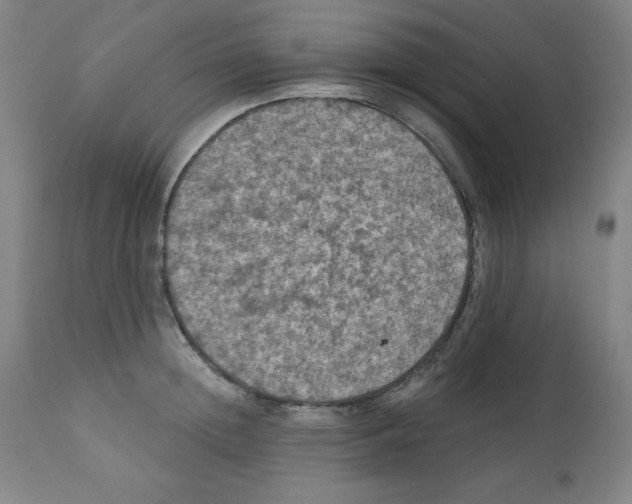 X0000112350852200909241100